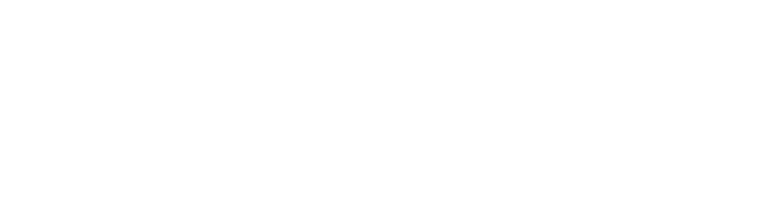 logo light